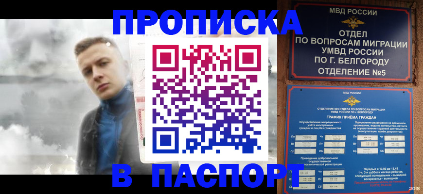 временная регистрация в Жуковском